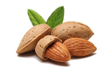 Sweet Almond